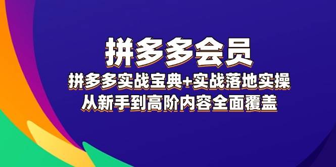 拼多多 会员，拼多多实战宝典+实战落地实操，从新手到高阶内容全面覆盖-小哥网