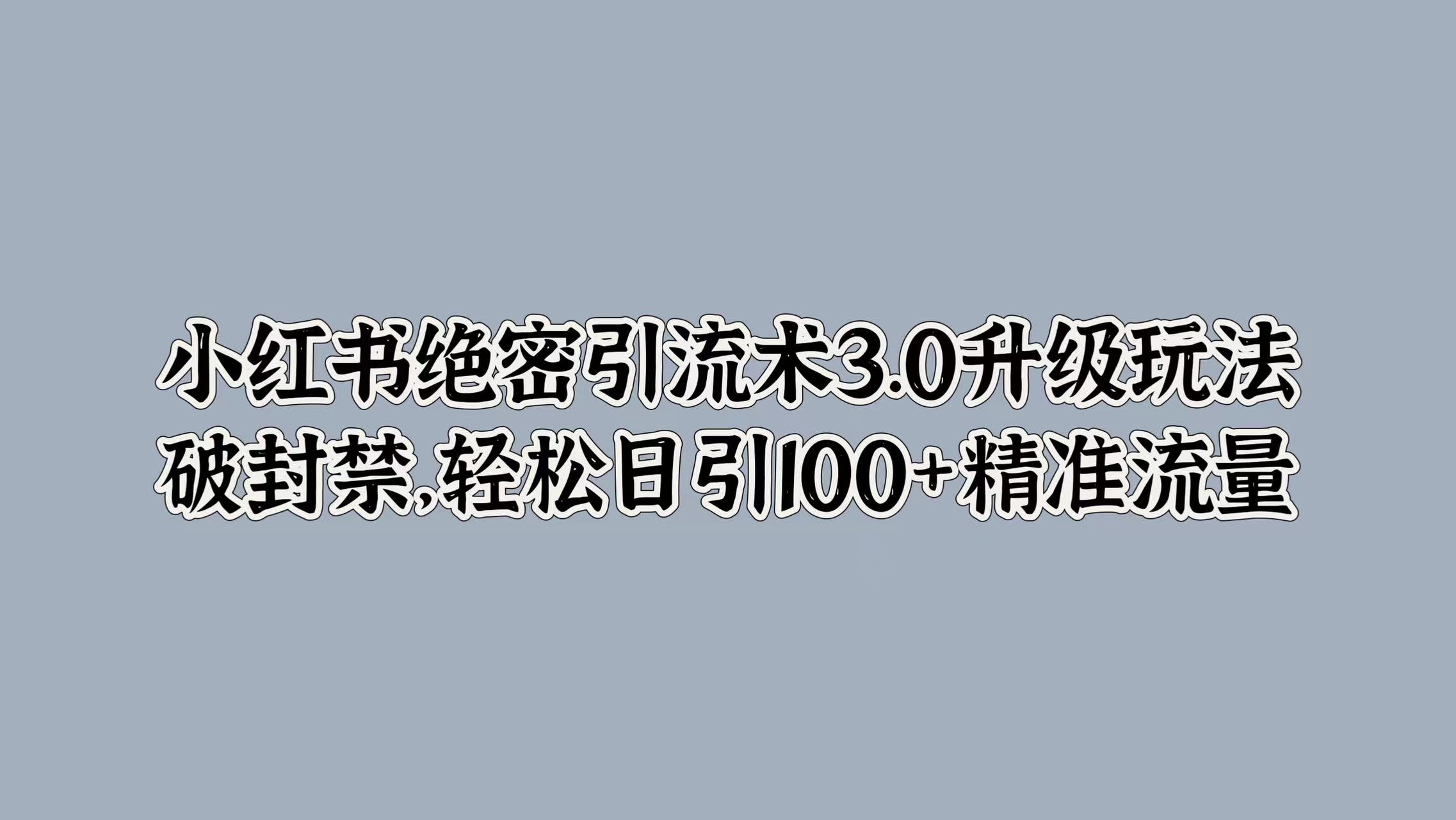 小红书绝密引流术3.0升级玩法，破封禁，轻松日引100+精准流量-117资源网