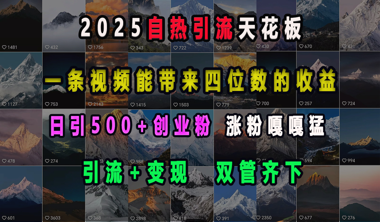 2025自热引流天花板，一条视频能带来四位数的收益，引流+变现双管齐下，日引500+创业粉，涨粉嘎嘎猛-小哥网