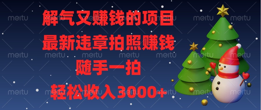 最新违章拍照赚钱，随手一拍，解气又赚钱的项目，轻松收入3000+-小哥网