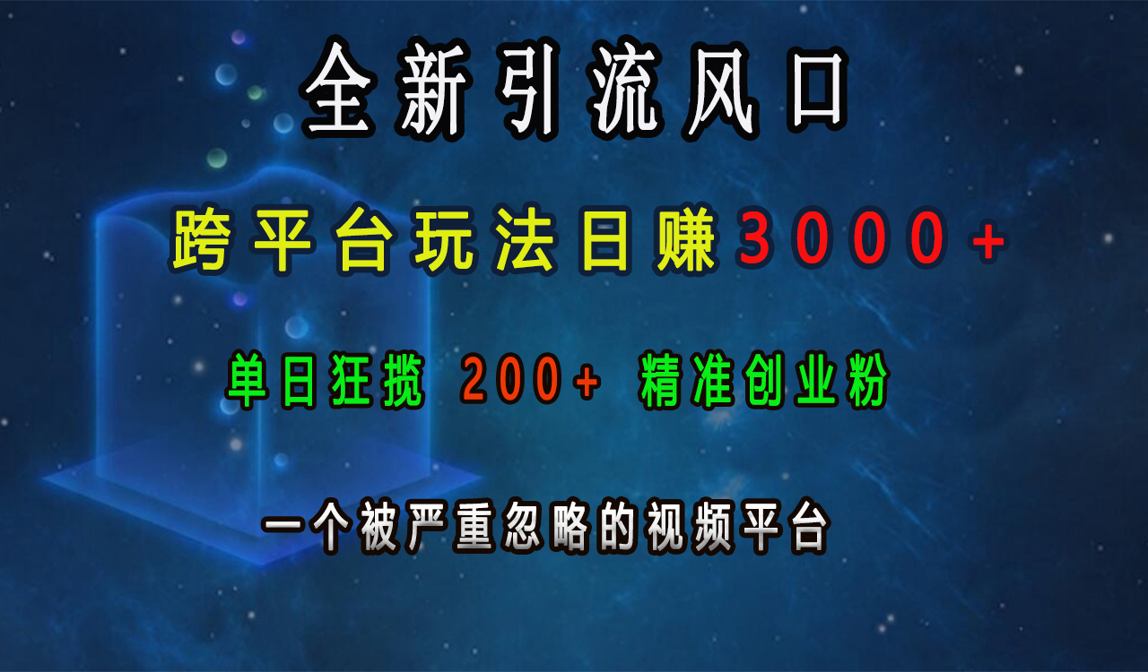 全新引流风口，跨平台玩法日赚3000+，单日狂揽200+精准创业粉，一个被严重忽略的视频平台-小哥网