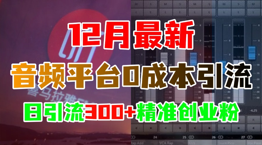 12月最新：音频平台0成本引流，日引300+精准创业粉-小哥网