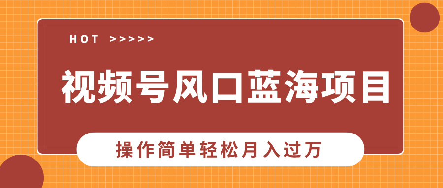 视频号风口蓝海项目，中老年人的流量密码，操作简单轻松月入过万-小哥网